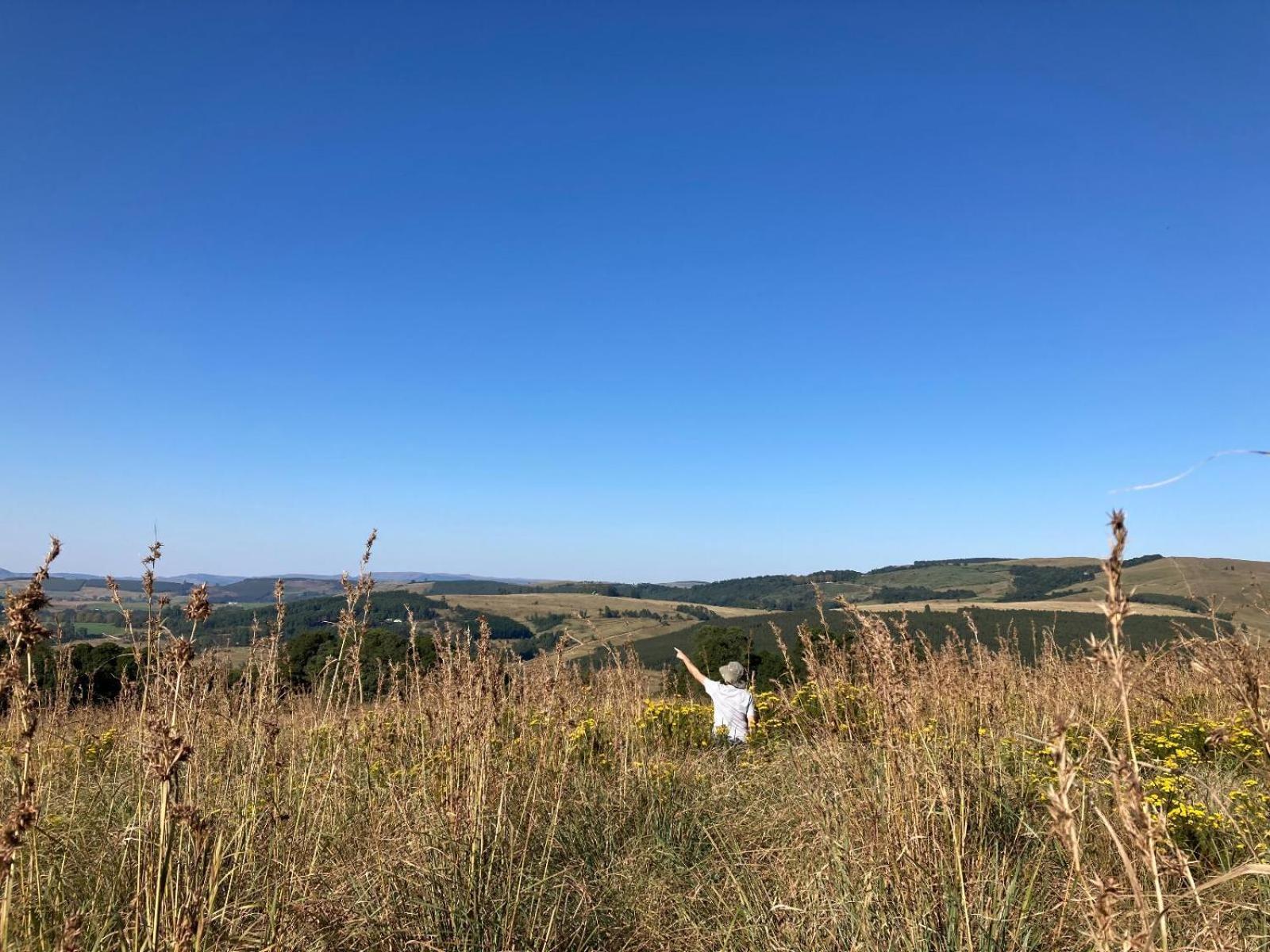 Midlands Forest Lodge Balgowan Εξωτερικό φωτογραφία