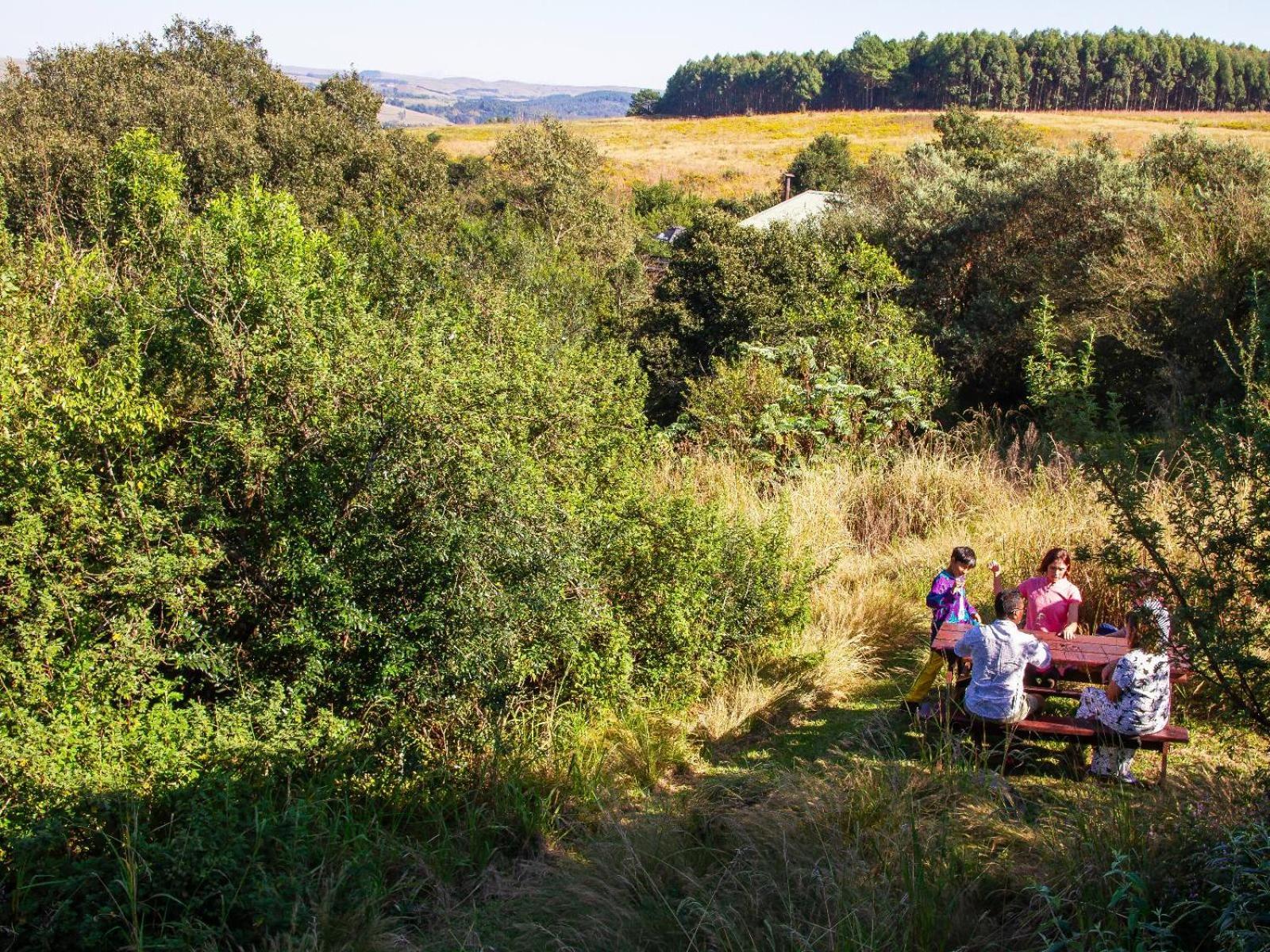 Midlands Forest Lodge Balgowan Εξωτερικό φωτογραφία